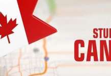 Du học Canada không cần chứng minh tài chính cần chuẩn bị gì? Du học Canada không cần chứng minh tài chính thì cần những điều kiện gì khác?