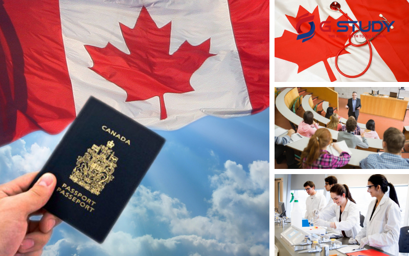 Chính phủ Canada tạo nhiều quyền lợi cho sinh viên được học bổng Cao đẳng – Đại học