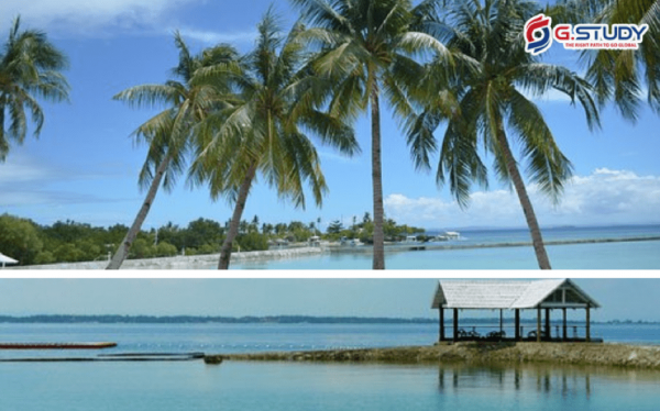 Khung cảnh hồ nước, cây cối tại Cebu