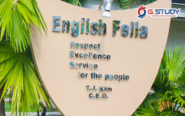 English-Fella - Nơi chắp cánh Thành công